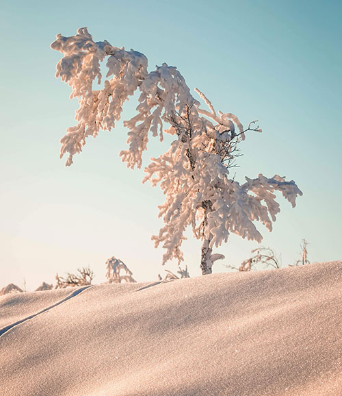 Hiver